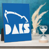 Adirondacks ijsbaan fotoplaat (Zijkant)