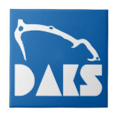 Adirondacks ijsbaan tegeltje (Voorkant)