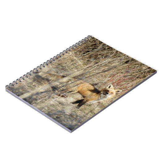 Adirondacks (NY) Red Fox Spiral notebook Notitieboek (Linkerzijde)