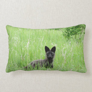 Adirondacks (NY) Silver Fox Lumbar Pillow Kussen