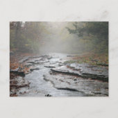 Adirondacks Post Card #001 Briefkaart (Voorkant)