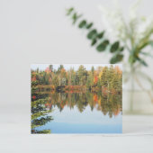 Adirondacks Upper Chub River Autumn Scene Briefkaart (Staand voorkant)