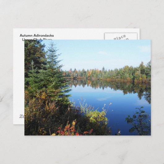 Adirondacks Upper Chub River Autumn Scene Briefkaart (Voorkant / Achterkant)
