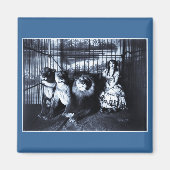 Adjie en de Leeuwen 1899 Magneet (Voorkant)