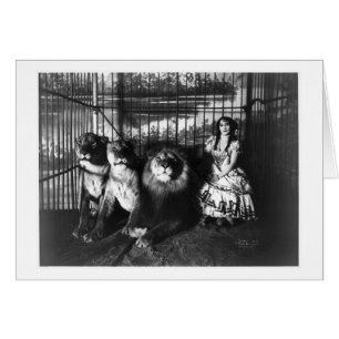 Adjie en de Lions 1899