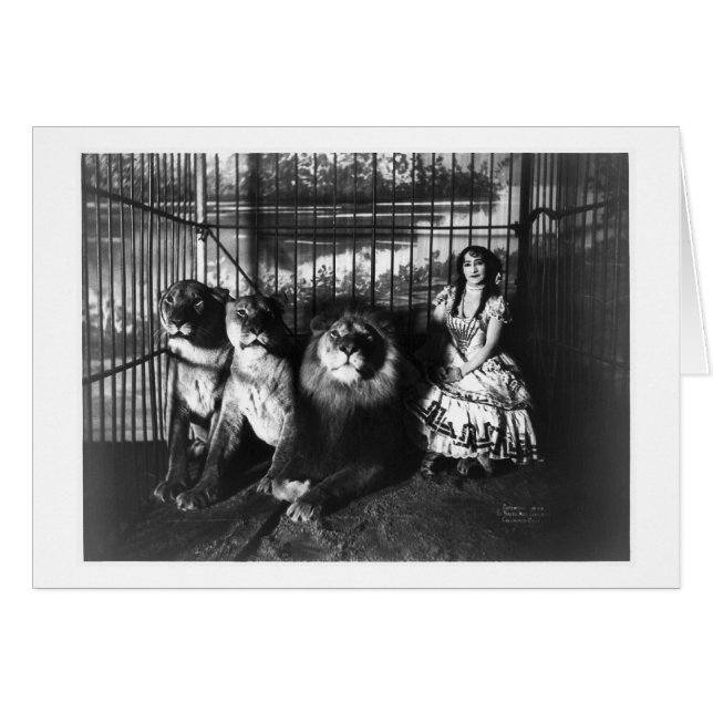 Adjie en de Lions 1899 (Voorkant Horizontaal)