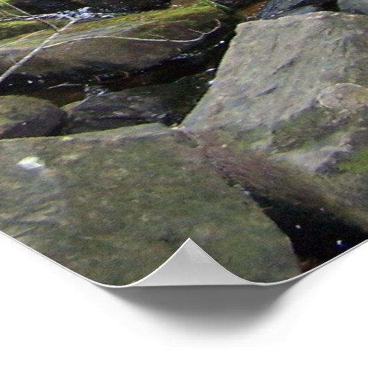 Adler Herfsten Poster (Hoek)