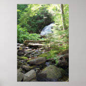 Adler Herfsten Poster (Voorkant)