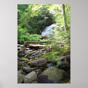 Adler Herfsten Poster