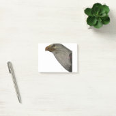 Adler Post-it® Notes (Kantoor)