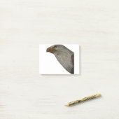 Adler Post-it® Notes (Op bureau)
