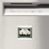 Administratieve Professionals Dag Witte Orchideeën Magneet (Insitu (Vaatwasser))