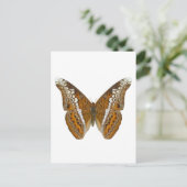 Admiraal Butterfly Briefkaart (Staand voorkant)