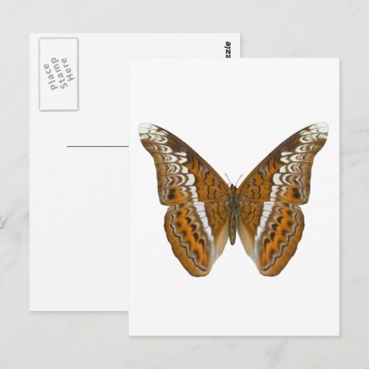 Admiraal Butterfly Briefkaart (Voorkant / Achterkant)