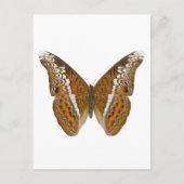 Admiraal Butterfly Briefkaart (Voorkant)