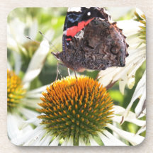 Admiraal Butterfly op Vloer