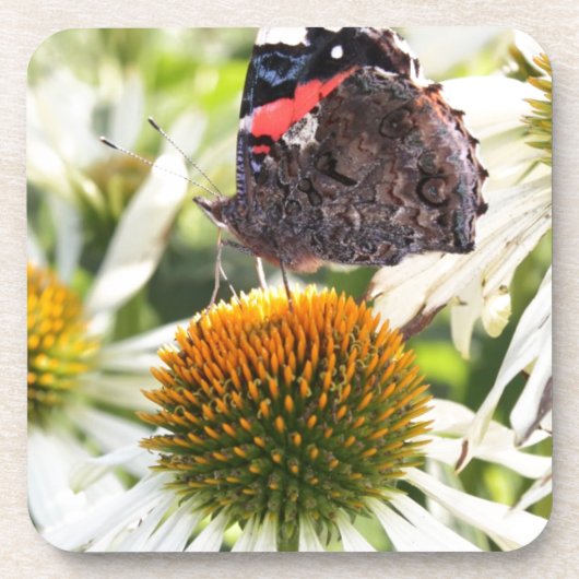 Admiraal Butterfly op Vloer Onderzetter (Voorkant)