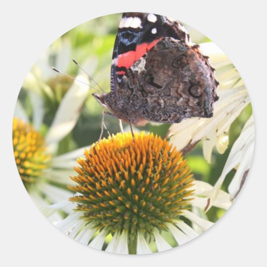 Admiraal Butterfly op Vloer Ronde Sticker (Voorkant)