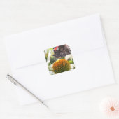 Admiraal Butterfly op Vloer Vierkante Sticker (Envelop)