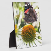 Admiraalvlinder op bloem fotoplaat (Zijkant)
