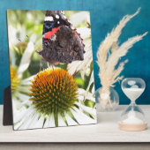 Admiraalvlinder op bloem fotoplaat (Zijkant)