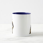 Admiral Fox Full Mok (Midden)