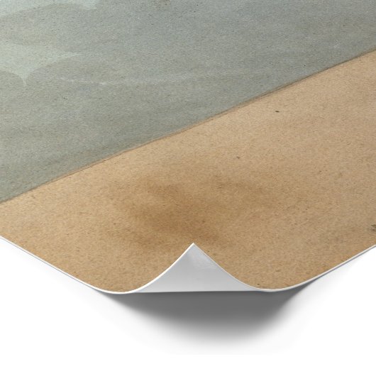 Admiral Horatio Nelson Poster (Hoek)