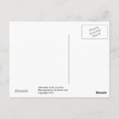 Admiralty Arch, Londen Briefkaart (Achterkant)