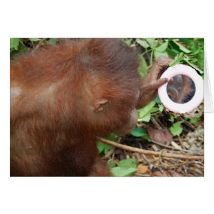 Admiratie Hallo Prachtige Zelfstandigen