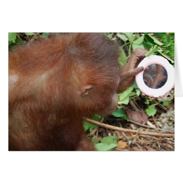 Admiratie Hallo Prachtige Zelfstandigen (Voorkant Horizontaal)