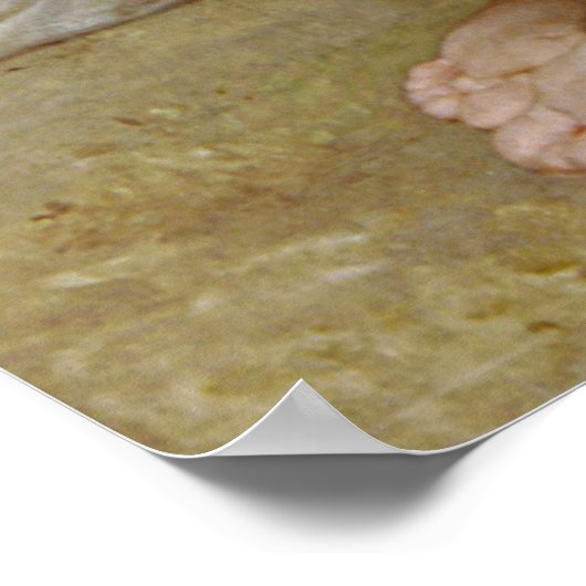 Admiration d'Bouguereau (L'admiration) (1867) Poster (Hoek)