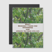 Admire Friendship Magnetic Wenskaart (Voorkant / Achterkant)