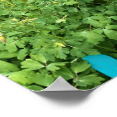 Adobe house Garden New Mexico Foto Poster (Hoek)