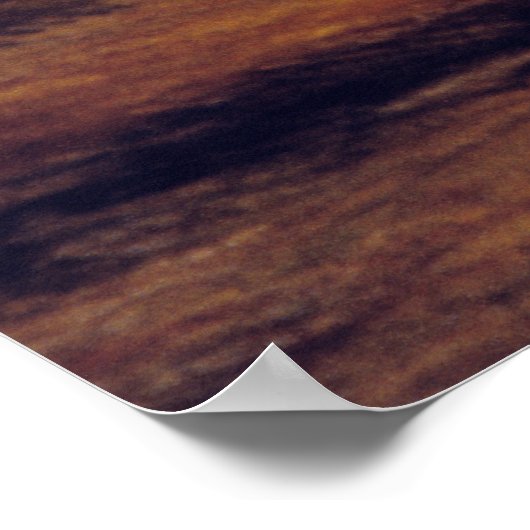 Adobe Oasis Poster (Hoek)