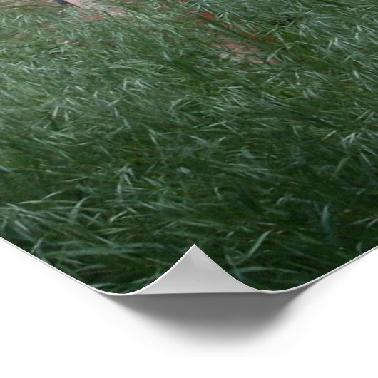 Adobe Wall & Gardener Poster (Hoek)