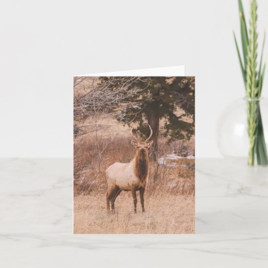 Adolescence - 4" x 5.6" Notecard Feestdagen Kaart (Voorkant)