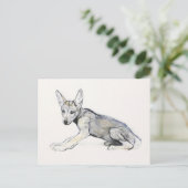 Adolescent Arabian Wolf Pup 2009 Briefkaart (Staand voorkant)
