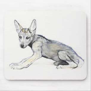 Adolescent Arabian Wolf Pup 2009 Muismat