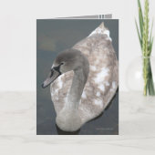 Adolescent Beauty Kaart (Voorkant)