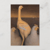 Adolescentie door Grant Wood Informatiekaartje (Voorkant)