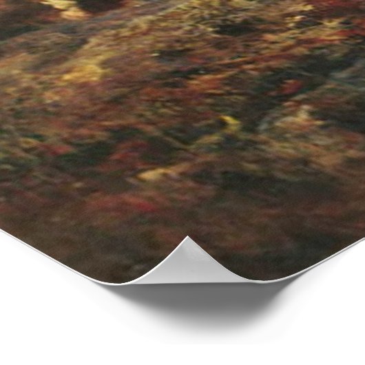 Adolf Schreyer Arab Horseman in een landschap Poster (Hoek)