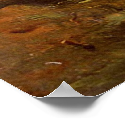 Adolf Schreyer Arab Warrior leidt een aanklacht in Poster (Hoek)