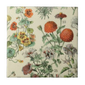 Adolph Millot Botanical Floral Detail 3 Tegeltje (Voorkant)