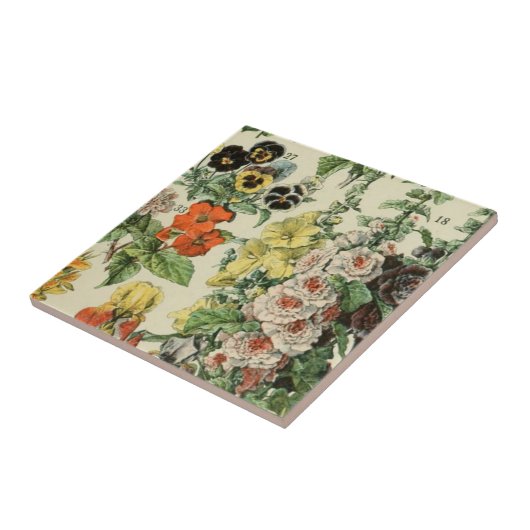 Adolph Millot Botanical Floral Detail Tegeltje (Zijkant)