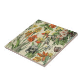 Adolph Millot Botanische Illustratie 2 Tegeltje (Zijkant)