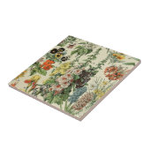 Adolph Millot Botanische Illustratie Tegeltje (Zijkant)