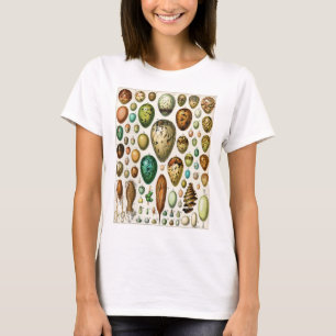 Adolphe Millot Antieke Franse Vogeleieren T-shirt
