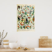 Adolphe Millot Bloem Illustratie Kunstprint Poster (Keuken)