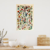 Adolphe Millot Bloem Illustratie Kunstprint Poster (Keuken)