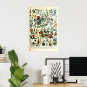 Adolphe Millot Bloem Illustratie Kunstprint Poster (Thuiskantoor)